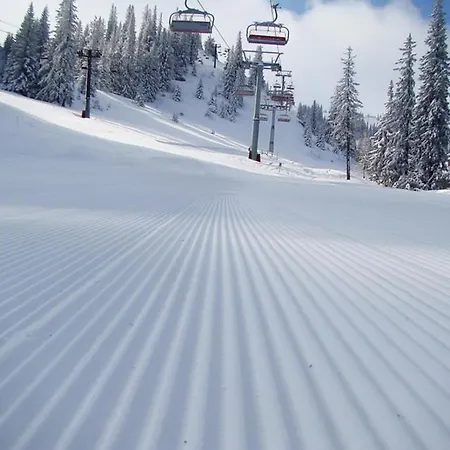 Daire Eskim Jahorina, Db 301 *
